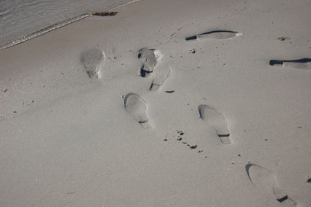 Footprints in the sand at Magdalena Bay, Spitzbergen