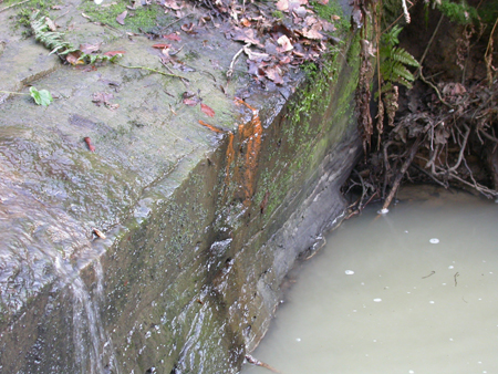 Dirty Sussex Stream