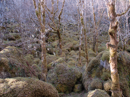 Gleann Liath, Inverness